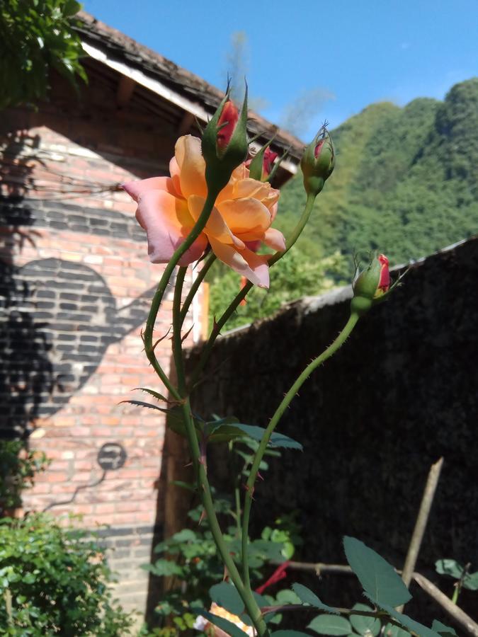 Xingping Our Inn Yangshuo Exterior photo