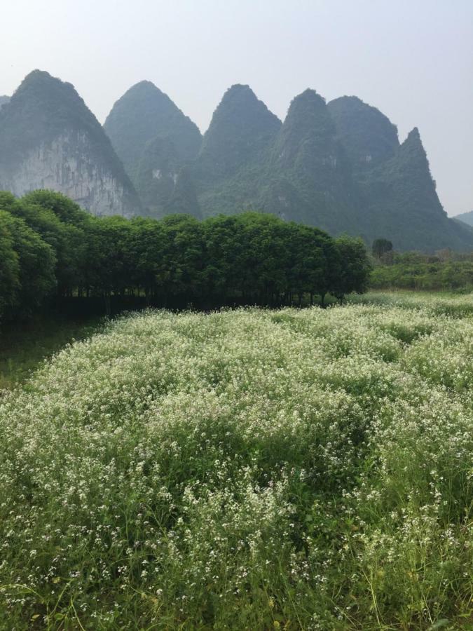 Xingping Our Inn Yangshuo Exterior photo